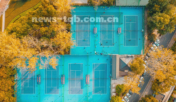 电脑与手机设备之间的数据同步示意图