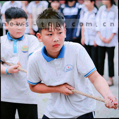 数据保护盾牌与锁组合抽象图标